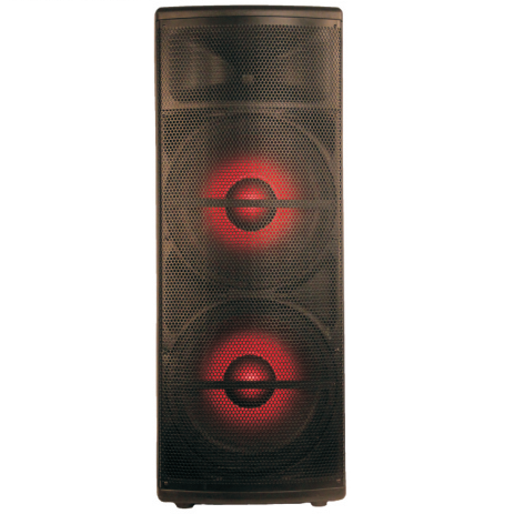 PS215C Plastic Speaker Box